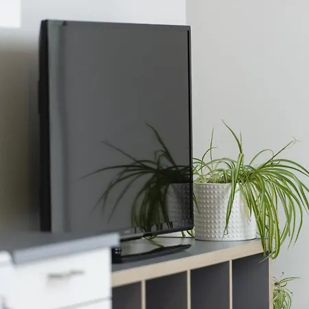 I Gamle * أوسلو