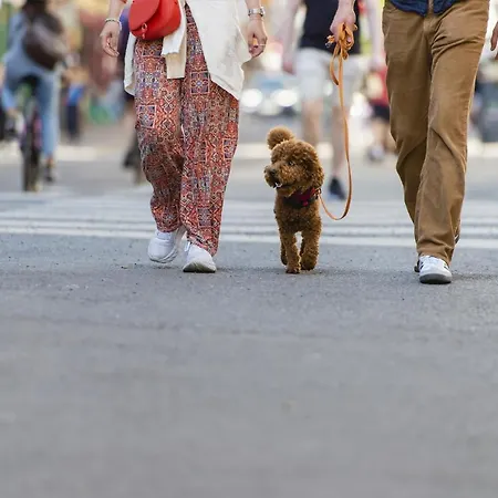 I Gamle Apartman Oslo